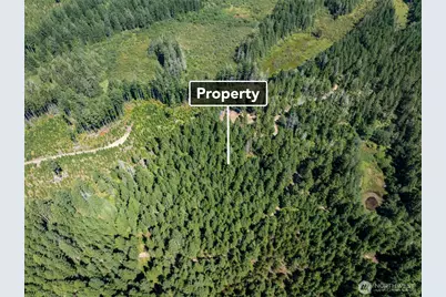2461 W Hanks Lake Road, Shelton, WA 98584 - Photo 16