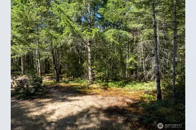 2461 W Hanks Lake Road, Shelton, WA 98584 - Photo 18
