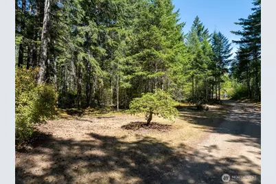 2461 W Hanks Lake Road, Shelton, WA 98584 - Photo 4