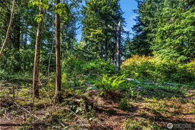 37218 Loki Bluff Drive NE, Hansville, WA 98340 - Photo 18