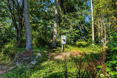 37218 Loki Bluff Drive NE, Hansville, WA 98340 - Photo 6