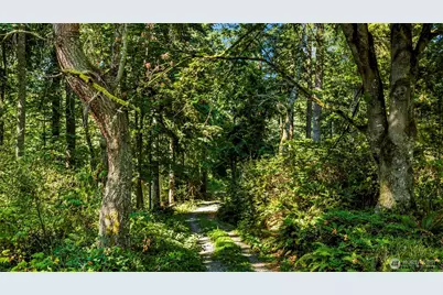 37218 Loki Bluff Drive NE, Hansville, WA 98340 - Photo 16