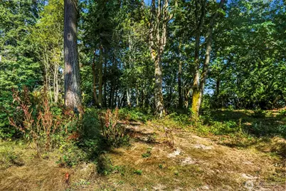 37218 Loki Bluff Drive NE, Hansville, WA 98340 - Photo 12