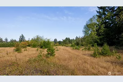 2826 76th Avenue NE, Olympia, WA 98506 - Photo 10