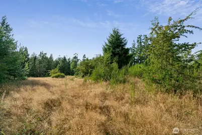 2826 76th Avenue NE, Olympia, WA 98506 - Photo 6