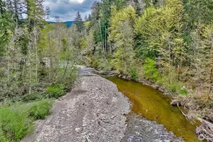 14886 Wilkeson Spiketon Road E, Wilkeson, WA 98396 - Photo 28