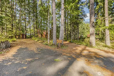 171 Timberline Drive, Packwood, WA 98361 - Photo 36