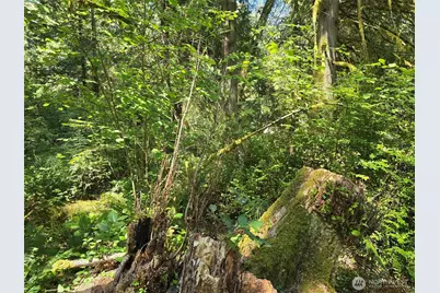 100 E Liberty Road, Shelton, WA 98584 - Photo 6