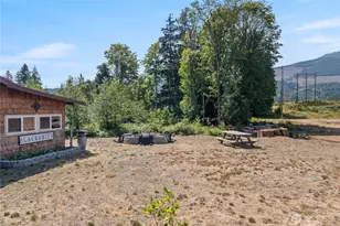 111 Jaybird Ln, Brinnon, WA 98320 - Photo 26