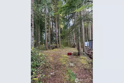 44 Robin Lane, Pacific Beach, WA 98571 - Photo 8