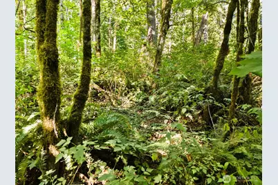 0 Tenino Drive W, Bremerton, WA 98312 - Photo 16