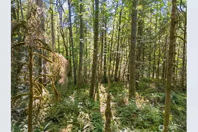 0 Tenino Drive W, Bremerton, WA 98312 - Photo 12