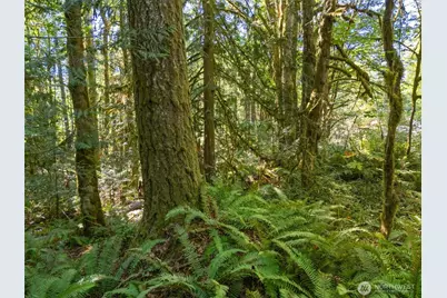 0 Tenino Drive W, Bremerton, WA 98312 - Photo 10