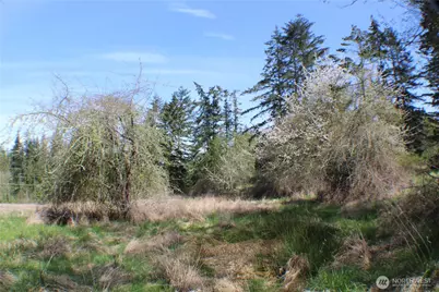 999 Oso Vista Court, Sequim, WA 98382 - Photo 8
