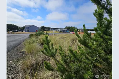 31712 I Street, Ocean Park, WA 98640 - Photo 4