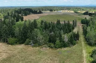12649 Bald Hill Rd SE, Yelm, WA 98597 - Photo 20