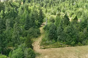12649 Bald Hill Rd SE, Yelm, WA 98597 - Photo 16