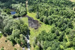 12649 Bald Hill Rd SE, Yelm, WA 98597 - Photo 34