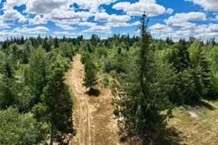 12649 Bald Hill Rd SE, Yelm, WA 98597 - Photo 18
