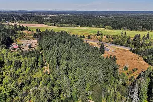 13441 Vail Rd SE, Yelm, WA 98597 - Photo 38