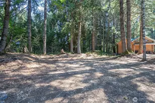120 Cascade Dr, Packwood, WA 98361 - Photo 38