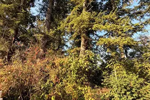 15620 Goldbar Dr, Gold Bar, WA 98251 - Photo 1