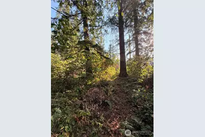 15620 Goldbar Drive, Gold Bar, WA 98251 - Photo 10
