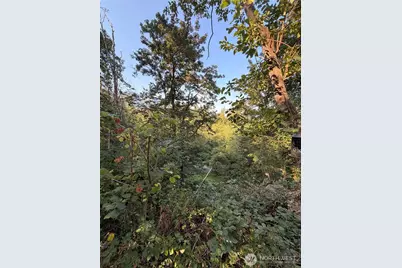 15620 Goldbar Drive, Gold Bar, WA 98251 - Photo 4