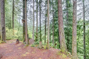 51 6 Riverside Dr, Deming, WA 98244 - Photo 24