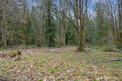7738 Maple Drive, Maple Falls, WA 98266 - Photo 2