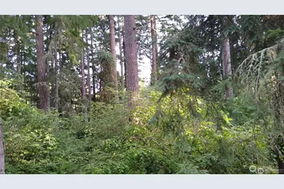 12106 Sound Drive, Anderson Island, WA 98303 - Photo 2
