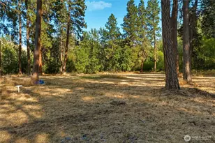 106 Wolf Ridge Ln, Dayton, WA 99328 - Photo 30