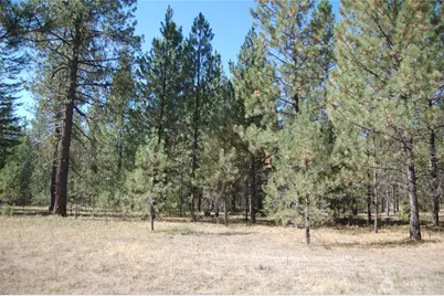 144 Cheif Joseph Trail, Riverside, WA 98849 - Photo 14