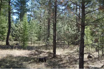 144 Cheif Joseph Trail, Riverside, WA 98849 - Photo 10