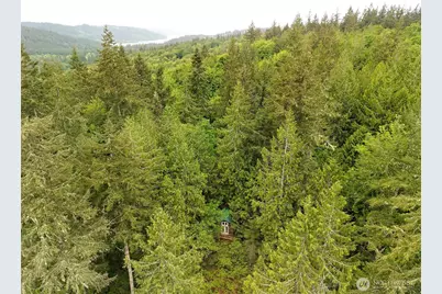 431 Taison Lane, Quilcene, WA 98376 - Photo 34
