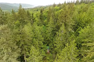 431 Taison Ln, Quilcene, WA 98376 - Photo 34