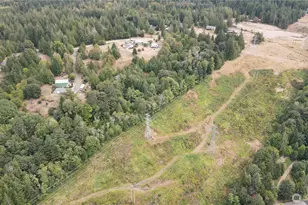 890 W Wynwood Dr, Shelton, WA 98584 - Photo 38