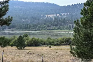 44 Curlew Dr, Republic, WA 99166 - Photo 38