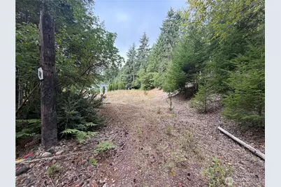 397 NE Larson Lake Road, Belfair, WA 98528 - Photo 6