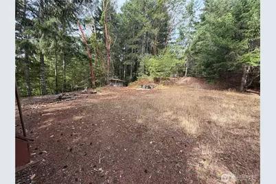 397 NE Larson Lake Road, Belfair, WA 98528 - Photo 4