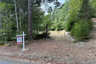 397 NE Larson Lake Rd, Belfair, WA 98528 - Photo 1