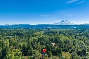 29707 113th Ave E, Graham, WA 98338 - Photo 40