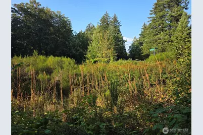 27313 Vashon Highway SW, Vashon, WA 98070 - Photo 4