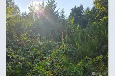 27313 Vashon Highway SW, Vashon, WA 98070 - Photo 6