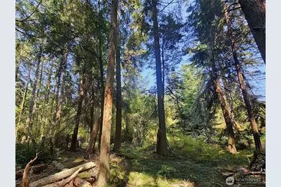 4063 Lambourn Lane, Oak Harbor, WA 98277 - Photo 6