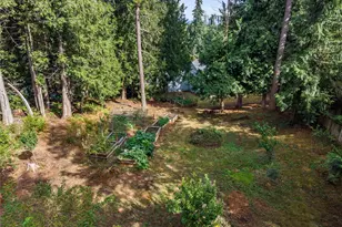 27408 NE 30th Way, Redmond, WA 98053 - Photo 34