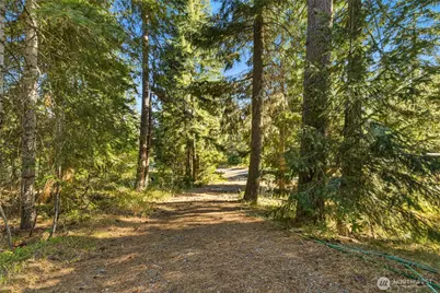 91 Lava Lane, Ronald, WA 98940 - Photo 6