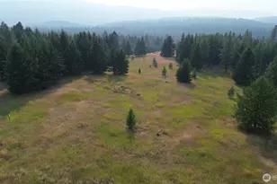 519 Pontiac Ridge Rd, Oroville, WA 98844 - Photo 8