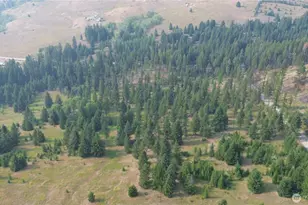 519 Pontiac Ridge Rd, Oroville, WA 98844 - Photo 6