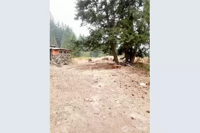 38 Excelsior Way, Curlew, WA 99166 - Photo 4
